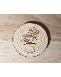 Succulent Coaster Set