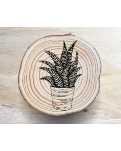 Succulent Coaster Set