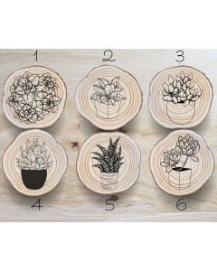 Succulent Coaster Set