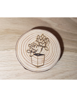 Succulent Coaster Set